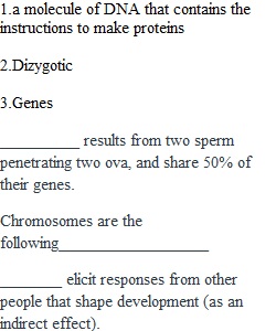 Quiz 2